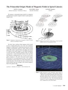 The Primordial Origin Model of Magnetic Fields in Spiral Galaxies SOFUE, Yoshiaki (Meisei University / University of Tokyo)	  MACHIDA, Mami