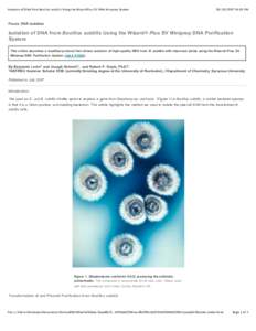 Isolation of DNA from Bacillus subtilis Using the Wizard Plus SV DNA Miniprep System:01 PM Focus: DNA Isolation