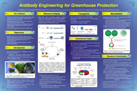 Antibody Engineering for Greenhouse Protection Ted Fjällman & J Christopher Hall, Department of Environmental Biology, University of Guelph. This research is supported by Crestech, Toxin Alert and Flowers Canada At A Gl