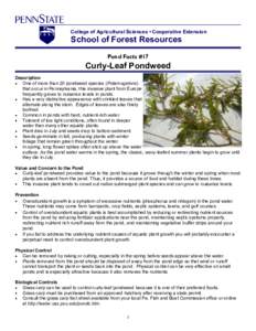 College of Agricultural Sciences • Cooperative Extension  School of Forest Resources Pond Facts #17  Curly-Leaf Pondweed
