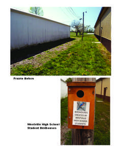 Prairie Before  Westville High School Student Birdhouses  Prairie Compost and Fabric Laid