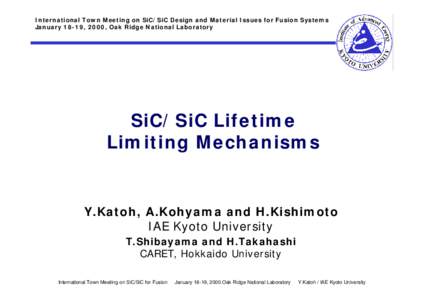 International Town Meeting on SiC/SiC Design and Material Issues for Fusion Systems January 18-19, 2000, Oak Ridge National Laboratory SiC/SiC Lifetime Limiting Mechanisms