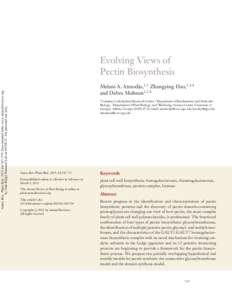 Evolving Views of Pectin Biosynthesis