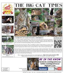 THE BIG CAT TIMES FALL 2012 issue Nikita Tiger Eye Surgery page 2