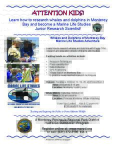 ATTENTION KIDS! Learn how to research whales and dolphins in Monterey Bay and become a Marine Life Studies Junior Research Scientist! Whales and Dolphins of Monterey Bay