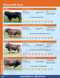 2012 Beef Sires Catalog - Sexing Technologies