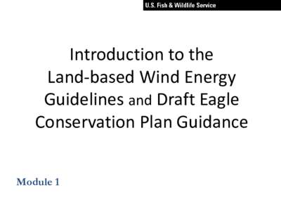 Introduction to the  Land-based Wind Energy Guidelines and Draft Eagle Conservation Plan Guidance