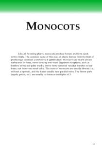 MONOCOTS Like all flowering plants, monocots produce flowers and form seeds within fruits. The common name of this class of plants derives from the trait of producing 1 seed leaf (cotyledon) at germination. Monocots are 