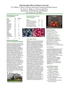 Plant Breeding Efforts at Rutgers University Dr. William A. Meyer, Professor and Director Turfgrass Breeding Program Dr. James F. White, Jr., Professor and Chair Department of Plant Biology and Pathology New Brunswick, N