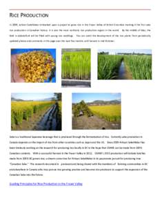 RICE PRODUCTION In 2009, Artisan SakeMaker embarked upon a project to grow rice in the Fraser Valley of British Columbia marking it the first sake rice production in Canadian history. It is also the most northerly rice p