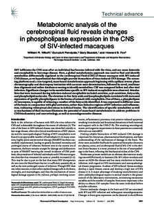 Technical advance  Metabolomic analysis of the cerebrospinal fluid reveals changes in phospholipase expression in the CNS of SIV-infected macaques