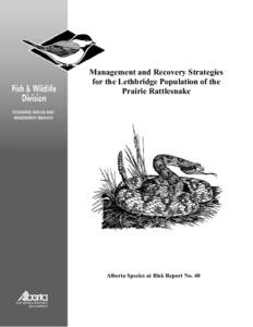 Management and Recovery Strategies for the Lethbridge Population of the Prairie Rattlesnake Alberta Species at Risk Report No. 40