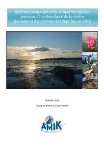 Suivi des zosteraies et de la biodiversité des poissons à l’embouchure de la rivière Romaine et dans la baie des Sept Îles en 2011 Agen  JANVIER 2012