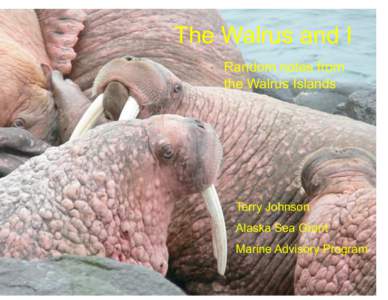 The Walrus and I Random notes from the Walrus Islands Terry Johnson Alaska Sea Grant