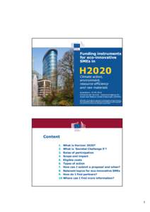 Funding instruments for eco-innovative SMEs in H2020 Climate action,