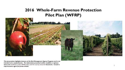 WFRP Comprehensive Training PowerPoint_2016