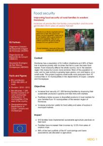 Food security Improving food security of rural families in western Honduras  Increase of production for family consumption and income generation from sales of surplus harvest 