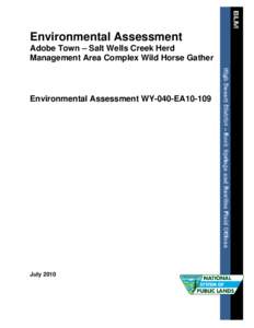 BLM  Environmental Assessment Adobe Town – Salt Wells Creek Herd Management Area Complex Wild Horse Gather