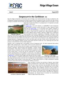 Ridge Village Ocean Issue 2 AugustSargassum in the Caribbean - NC