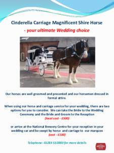 Cinderella Carriage Magnificent Shire Horse - your ultimate Wedding choice Our horses are well groomed and presented and our horsemen dressed in formal attire. When using our horse and carriage service for your wedding, 