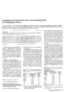 Microbiology / Potyviridae / Phyla / Agricultural pest insects / Whitefly / Silverleaf whitefly / Peanut mottle virus / Cowpea mild mottle virus / Plant virus / Biology / Hemiptera / Viruses