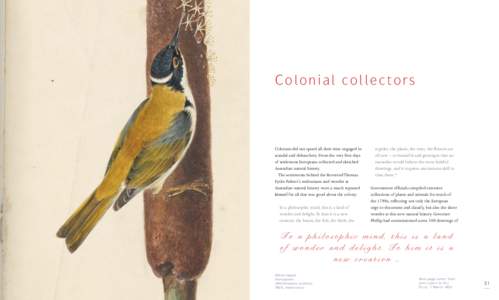 Colonial collectors  Colonists did not spend all their time engaged in scandal and debauchery. From the very first days of settlement Europeans collected and sketched Australian natural history.