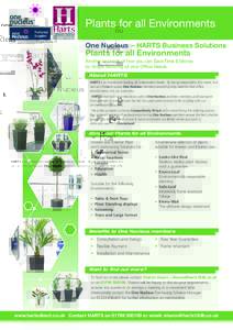 Plants for all Environments One Nucleus – HARTS Business Solutions Plants for all Environments Another example of how you can Save Time & Money by Single Sourcing all your Office Needs