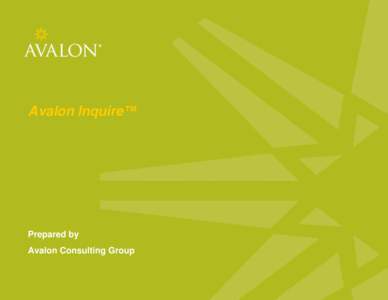 Avalon Inquire™  Prepared by Avalon Consulting Group  Master File Analysis Table of Contents