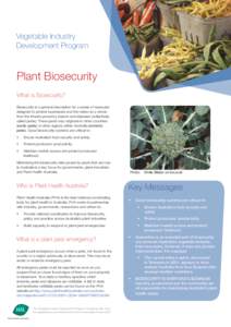 Vegetable Industry Development Program Plant Biosecurity What is Biosecurity? Biosecurity is a general description for a series of measures