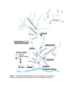 Figure 1. Schematic showing White Salmon River, its main tributaries, U.S. Forest Service boundary, and waterfalls that have potential to be barriers to fish migration, Washington. 