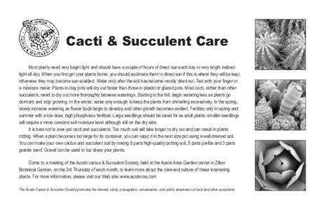 Cacti & Succulent Care Most plants need very bright light and should have a couple of hours of direct sun each day or very bright indirect light all day. When you first get your plants home, you should acclimate them to 