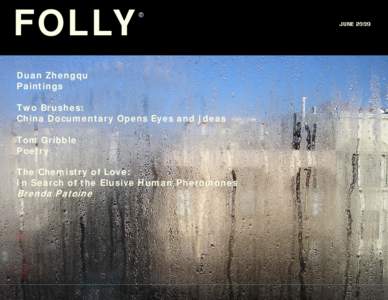 FOLLY  ® Duan Zhengqu Paintings