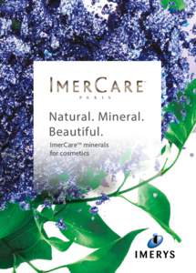 chemise_imercare-12-2015_VERNIS