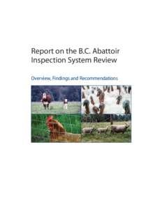 Report on the BC Abattoir Inspection System Review: Overview, Findings and Recommendations