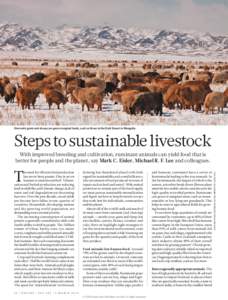 Domestic goats and sheep can graze marginal lands, such as those in the Gobi Desert in Mongolia.  Steps to sustainable livestock T  he need for efficient food production