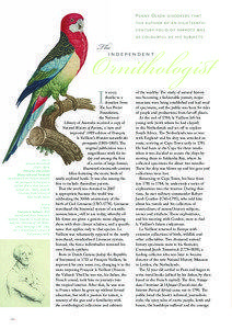 Turquoise Parrot / Parakeet / True parrots / Léon Vaillant / Ornithology / Nationality / Zoology / Birding and ornithology / Parrots / François Levaillant / Jacques Barraband