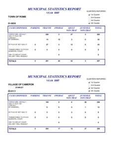 Municipal statistics report: 2007 total cases filed by individual jurisdiction/by category