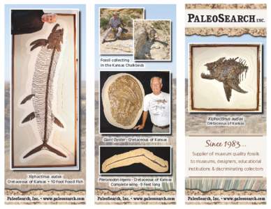 Fossils / Xiphactinus / Fish / Pteranodon / Cretaceous / Paleobotany / George Miller Sternberg / Paleontology / Prehistoric fish / Ichthyodectidae