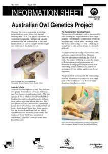 Australian Owl Genetics Project