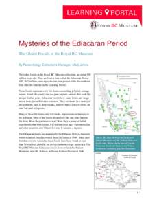 Mysteries of the Ediacaran Period The Oldest Fossils at the Royal BC Museum By Paleontology Collections Manager, Marji Johns The oldest fossils in the Royal BC Museum collections are about 550 million years old. They are