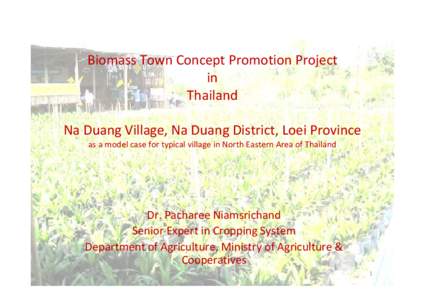 Microsoft PowerPoint - Biomass_Town_Concept_Promotion_Project_Thailand.PPT