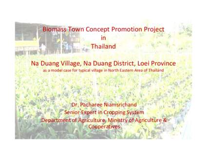 Na Duang District / Provinces of Thailand / Loei Province