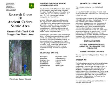 Roosevelt Grove of Ancient Cedars brochure