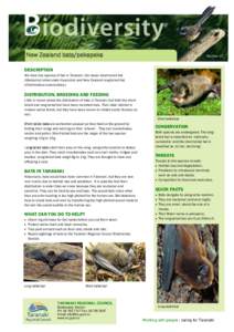 Biodiversity Information Sheet: Bats - Taranaki Regional Council