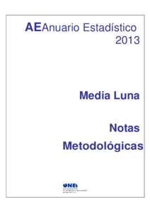 AEAnuario Estadístico 2013 Media Luna Notas Metodológicas