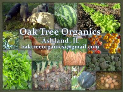  Started in 2004  We offer vegetables, fruit, free-range eggs, and pork.  Our products are