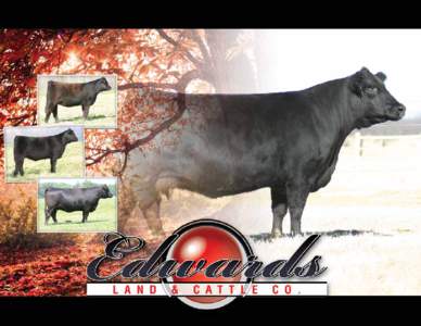 General Information[removed]Edwards Land & Cattle Co. SPRING LIMOUSIN PRODUCTION SALE Saturday, APRIL 14, [removed]Willard Edwards Road, Beulaville, NC 28518