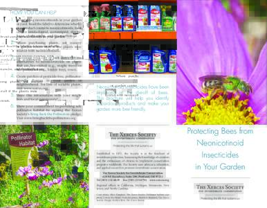 Insecticides / Beekeeping / Thiazoles / Pollinator decline / Pollination / Neonicotinoid / Pesticide toxicity to bees / Thiamethoxam / Clothianidin / Imidacloprid / Bumblebee / Honey bee