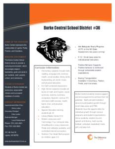 Information Technology Solutions  Burke Central School District #36 HOME OF THE PANTHERS Burke Central represents the