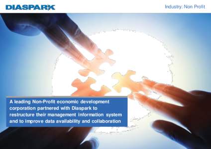 Industry: Non Profit  A leading Non-Profit economic development corporation partnered with Diaspark to restructure their management information system and to improve data availability and collaboration